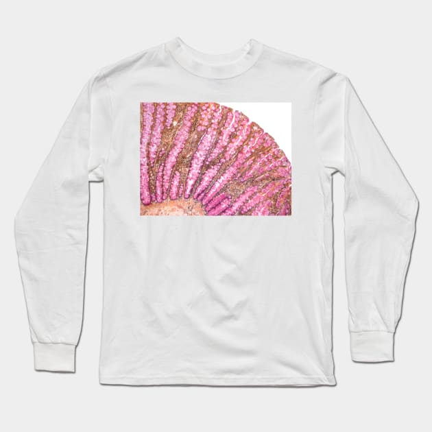 Colon, light micrograph (F006/9806) Long Sleeve T-Shirt by SciencePhoto